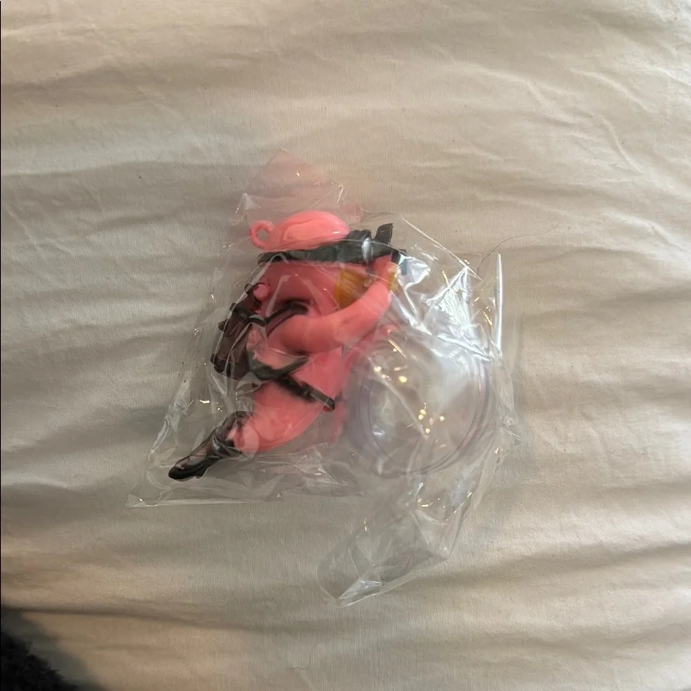 Pink Aquarium Fish Diver